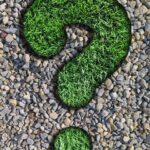 question, counselor, lawn, pebbles, question mark, nature, green, gray, round, beautiful wallpaper, background, weed, gravel, texture, iphone wallpaper